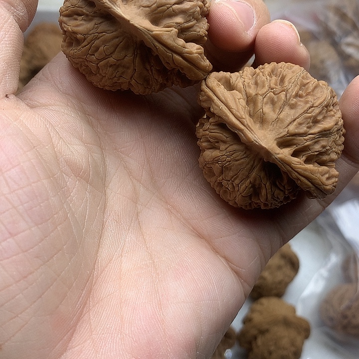 与****文玩核桃吊坠水龙纹