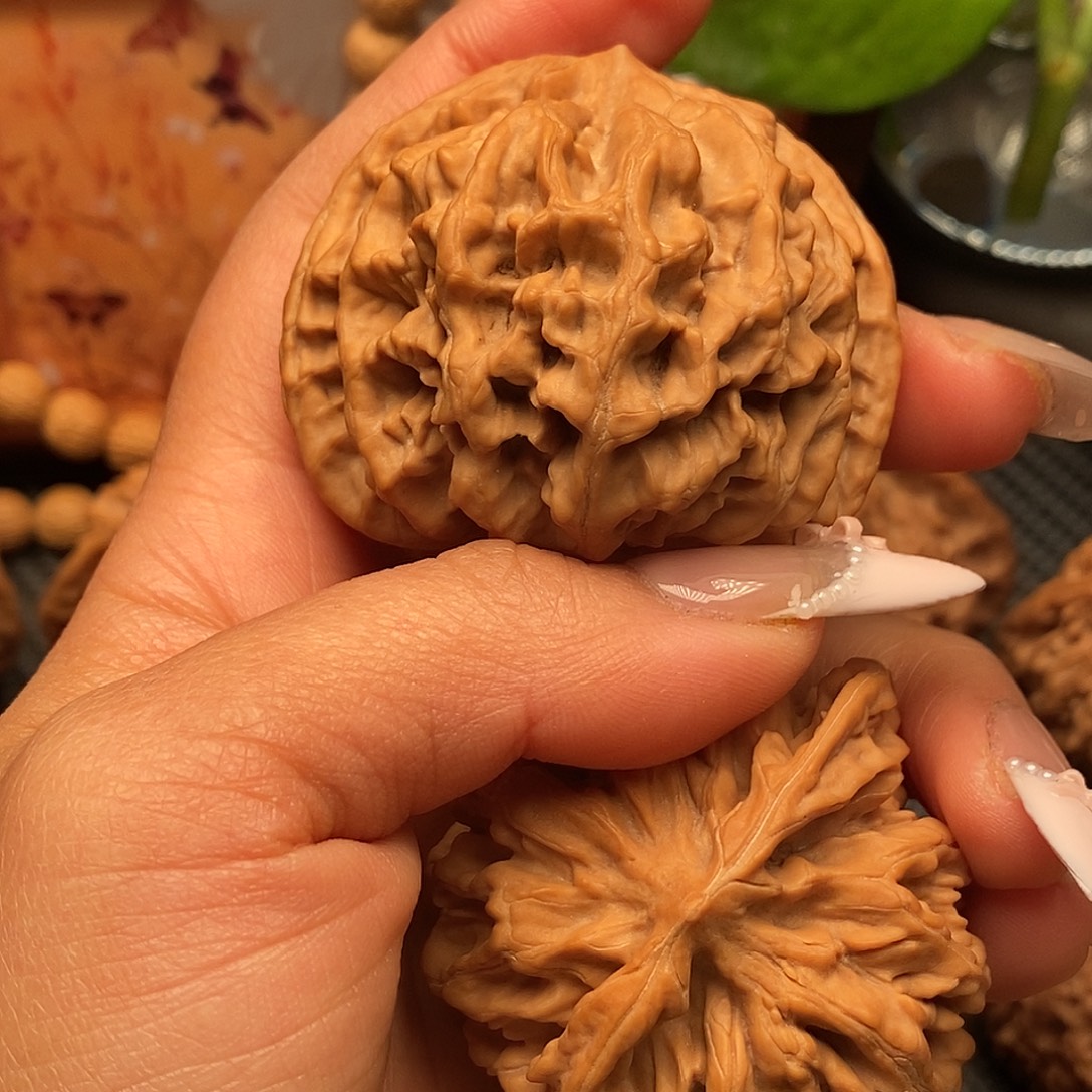 一***。核桃秦岭野生果官帽