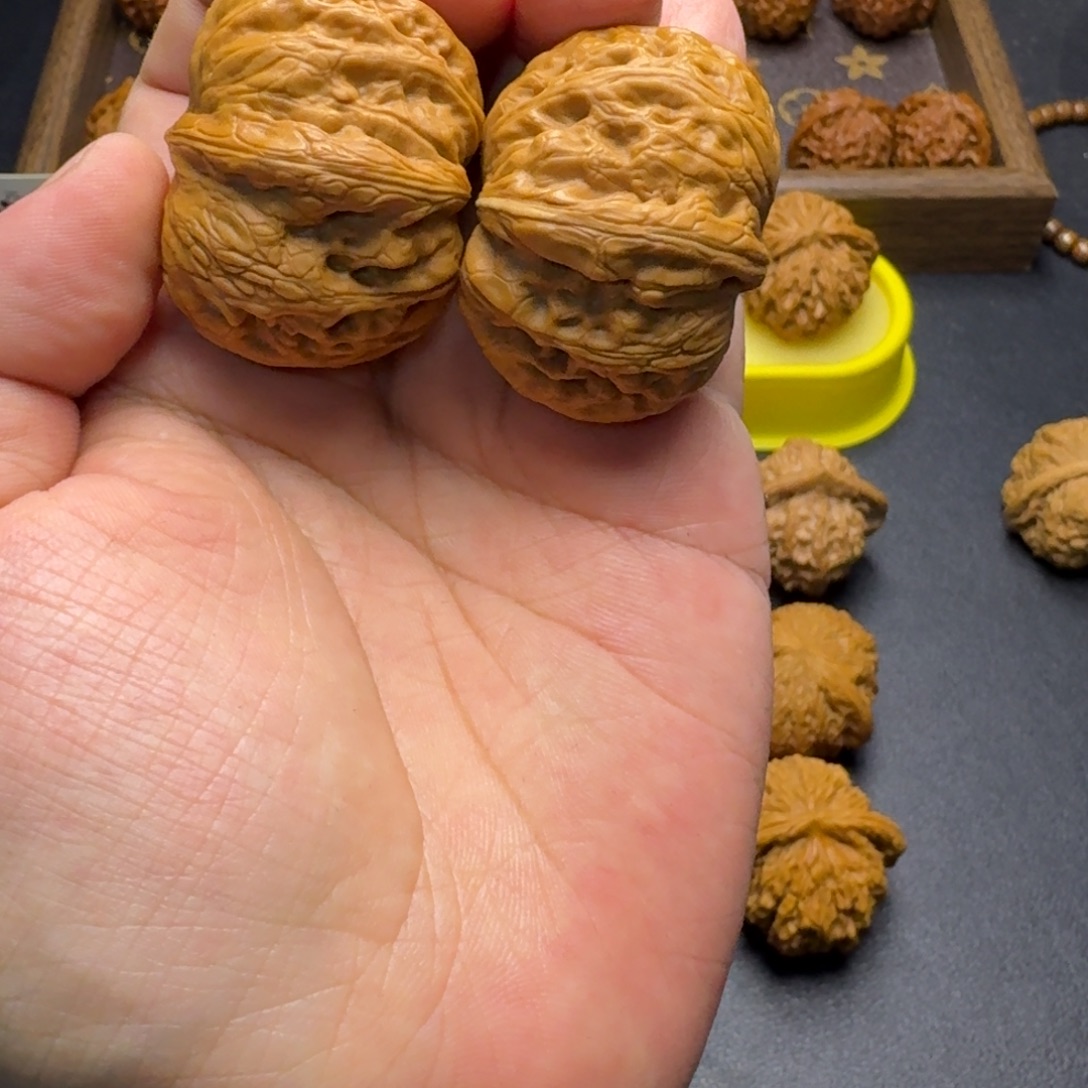 核桃41打底平谷元宝