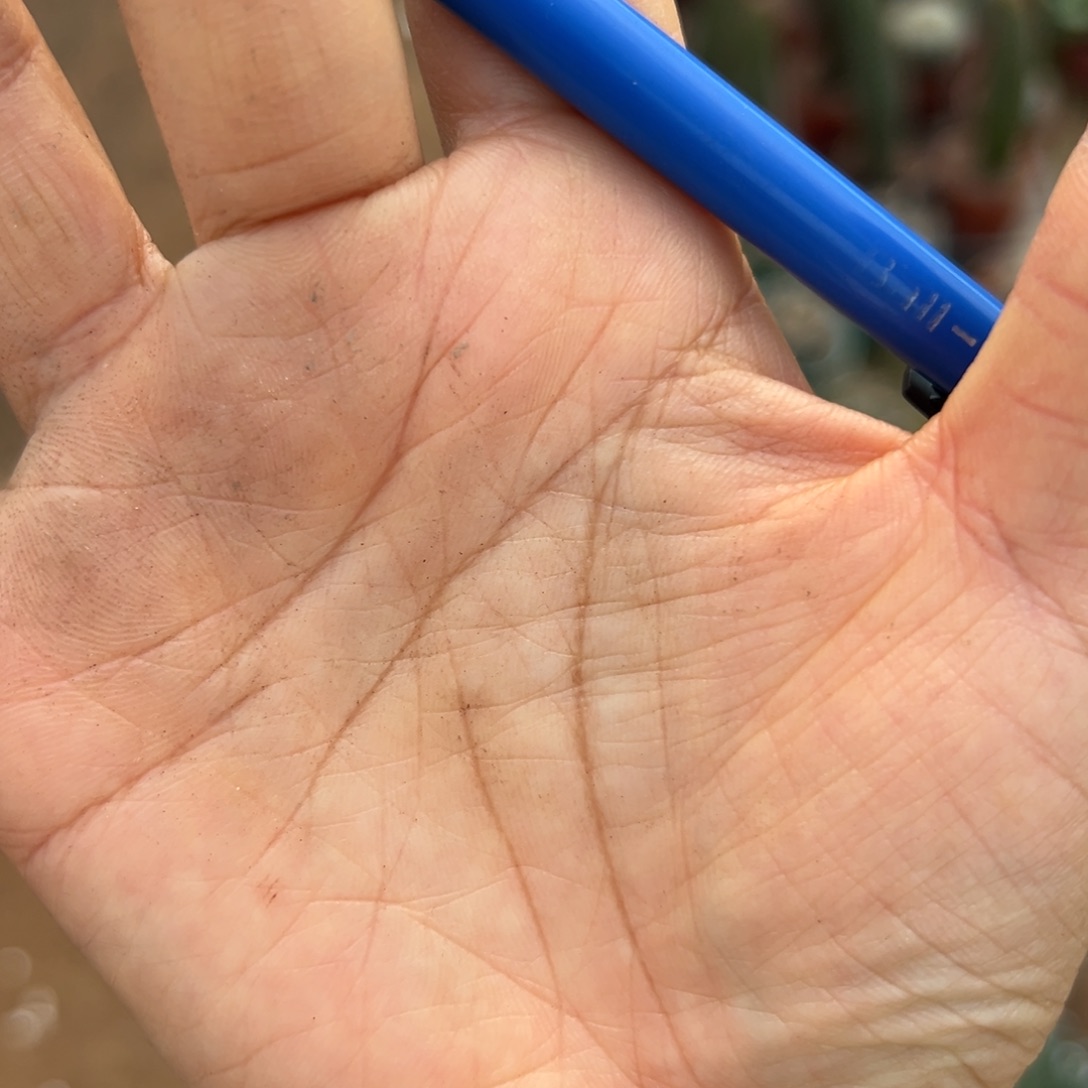 *****余额52 零零落落 零零落落