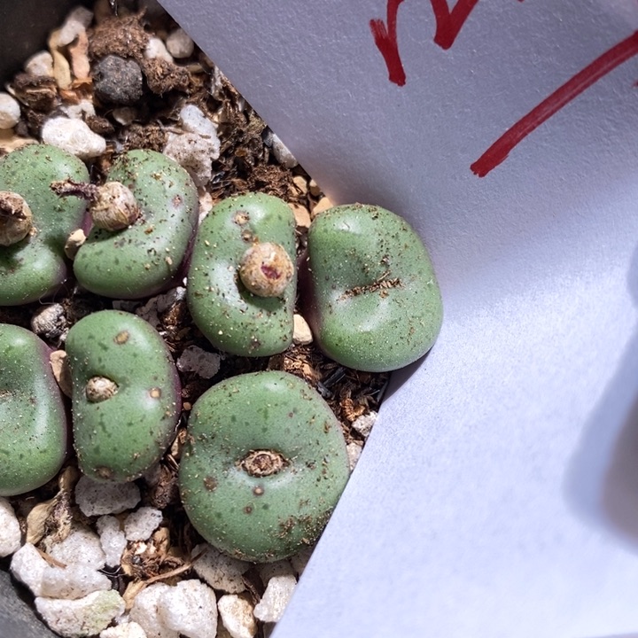 12217一个一个一个