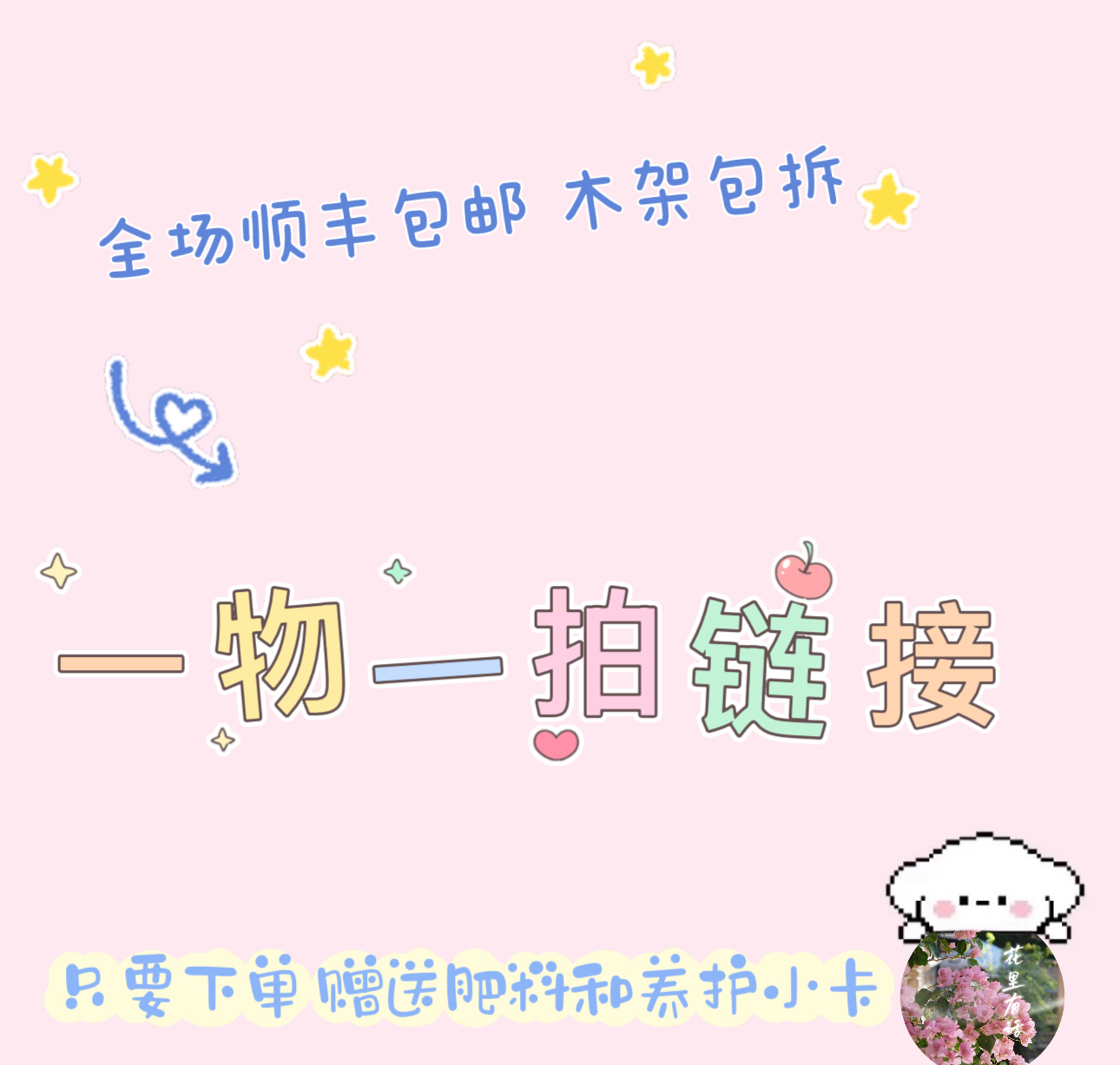 三角梅直播改价专用链接