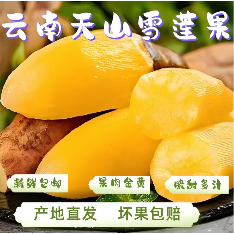 正宗云南天山雪莲果新鲜水果低糖黄心红心雪莲果脆甜净重5/9斤ZY