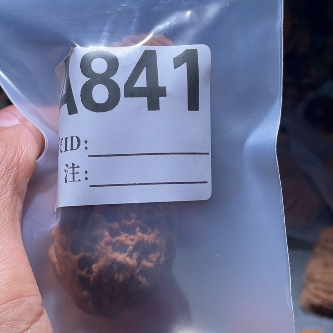 相***遇文玩核桃吊坠841南疆p