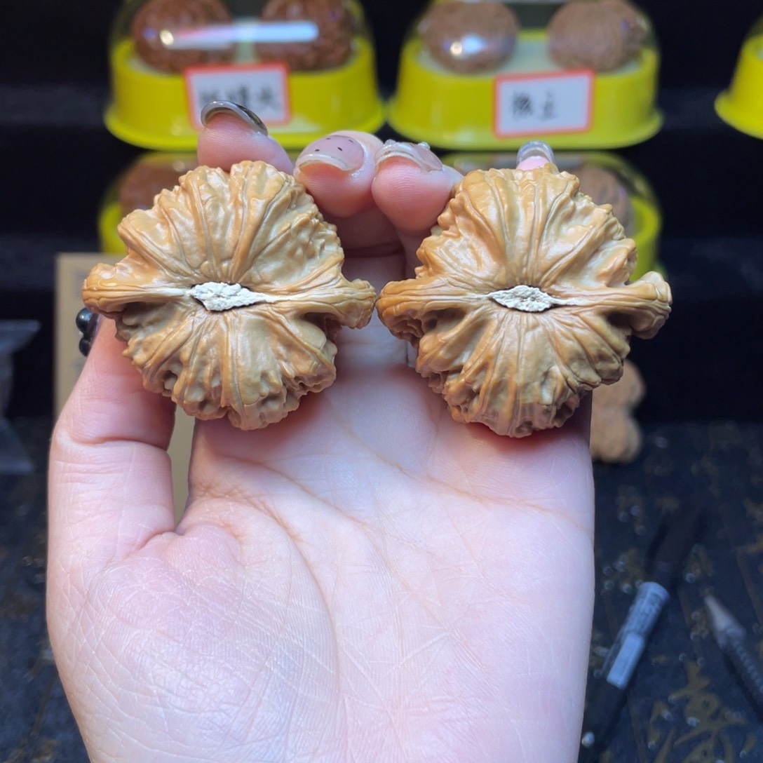 文玩核桃把件白狮子45