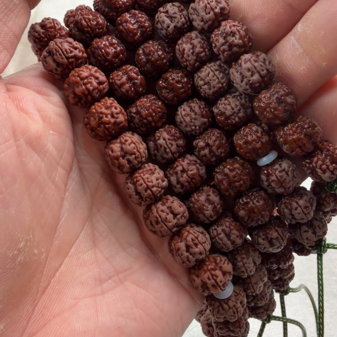 吊坠金刚菩提观系列111老树梅花