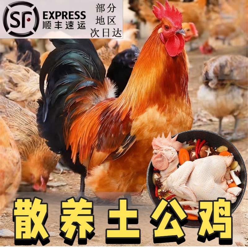 【顺丰包邮】新鲜冷冻农家散养土公鸡4-5斤青脚土公鸡肉 冷冻发货