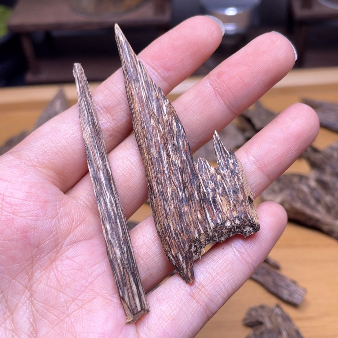 2.8克海南尖峰树心虫漏