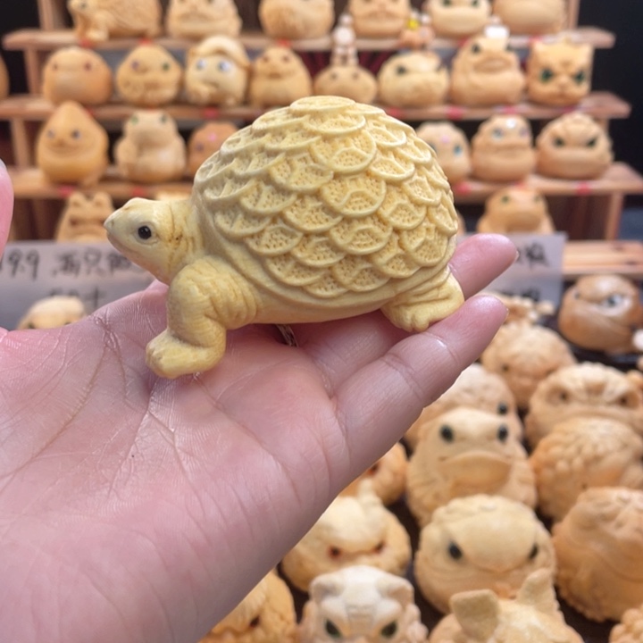 竹金钱龟微瑕福利zzzz