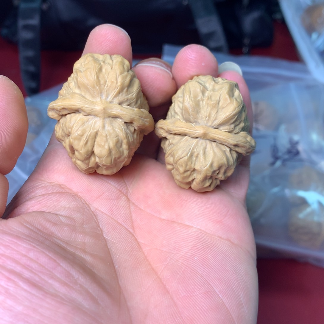 山地蛤蟆头精对微修