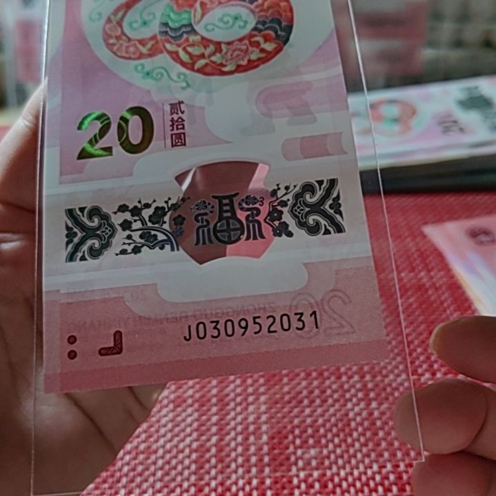 塑料小蛇钞年份号3095 2031单张