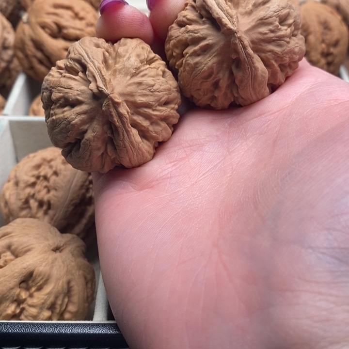 ****0文玩核桃吊坠霸王龙