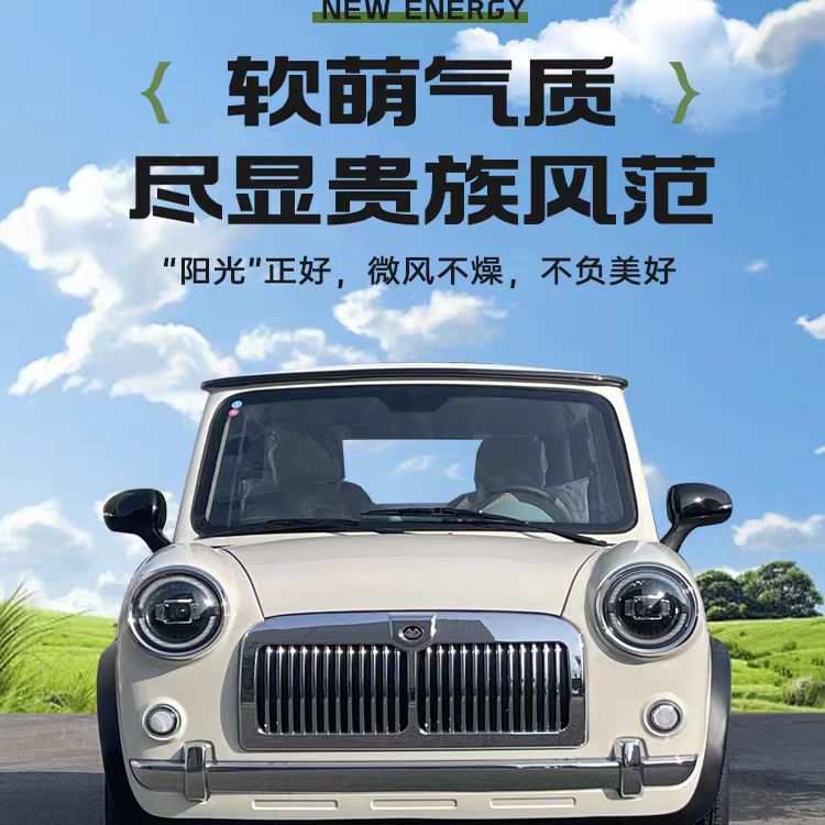 电动四轮车复古老爷车低速代步家用出行冷暖新能源电动车厂家直销