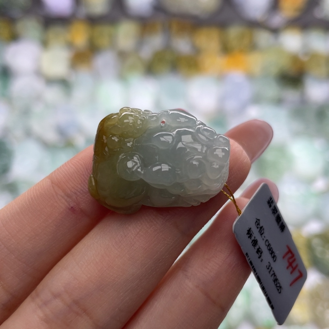 颈饰未镶嵌翡翠貔貅1