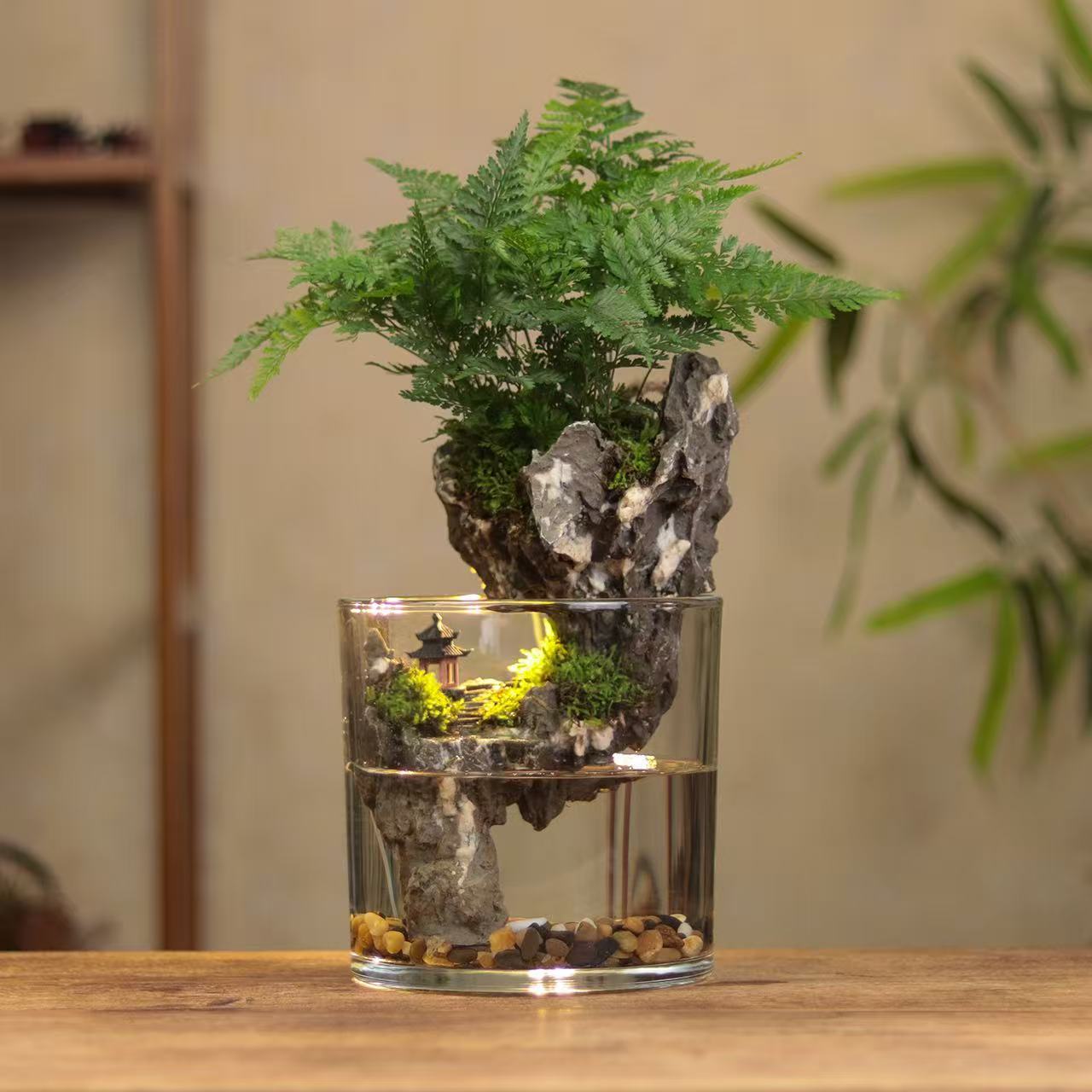 [半山亭]狼尾蕨成品创意真绿植苔藓室内桌面微景观山水缸15*15