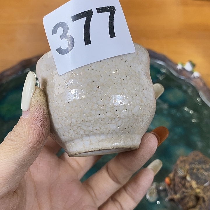 A***罗海外陶瓷茶具日化