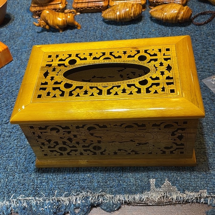 楠木好好看好漂亮