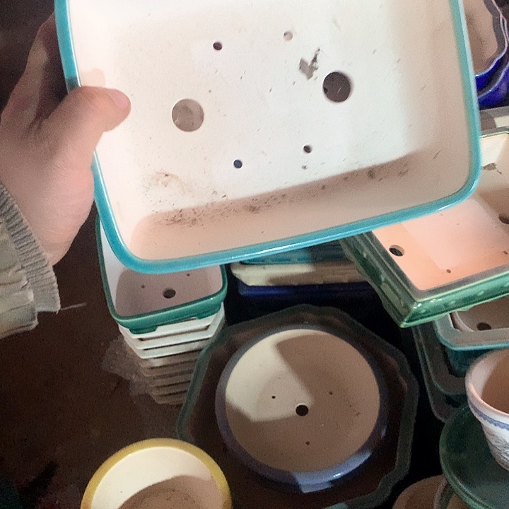 紫砂我要努力去实现了