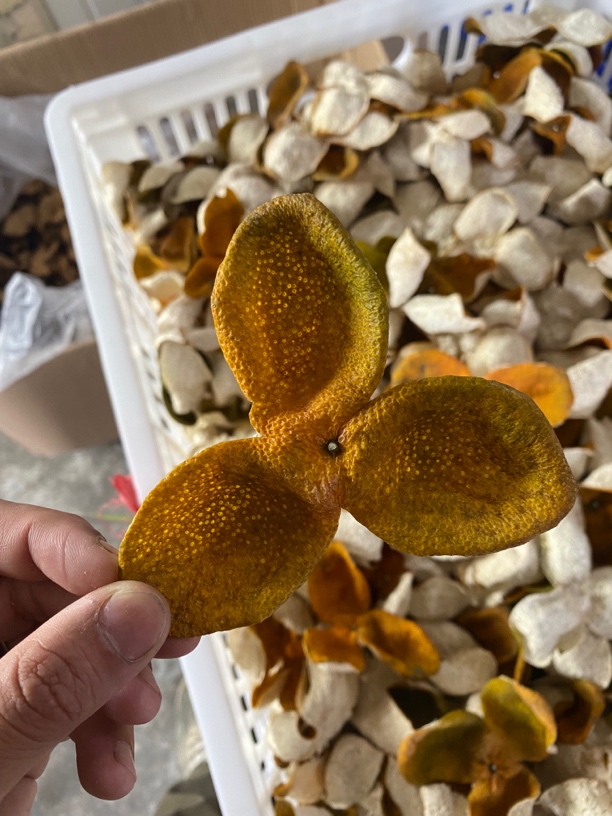 2025年梅江十三年原枝老树大红皮