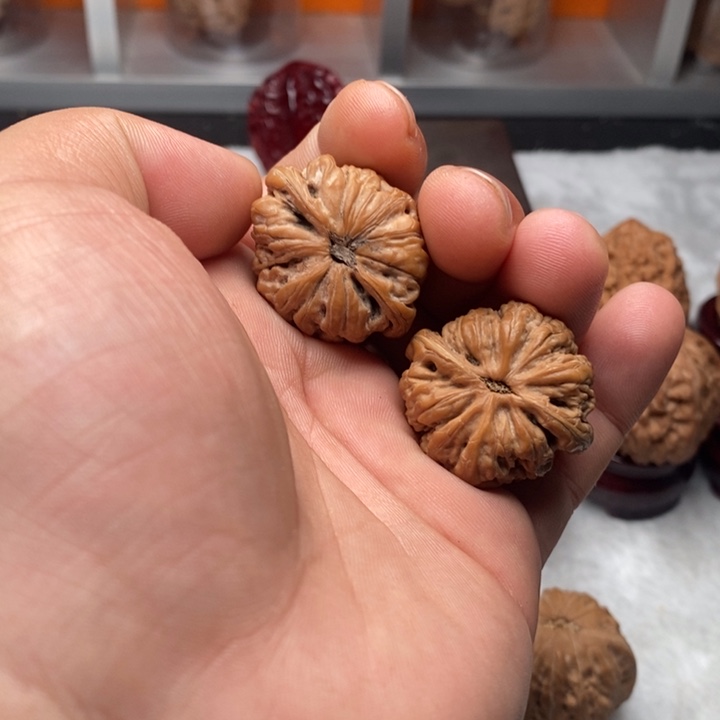 鲨***豆把件文玩核桃33九龙