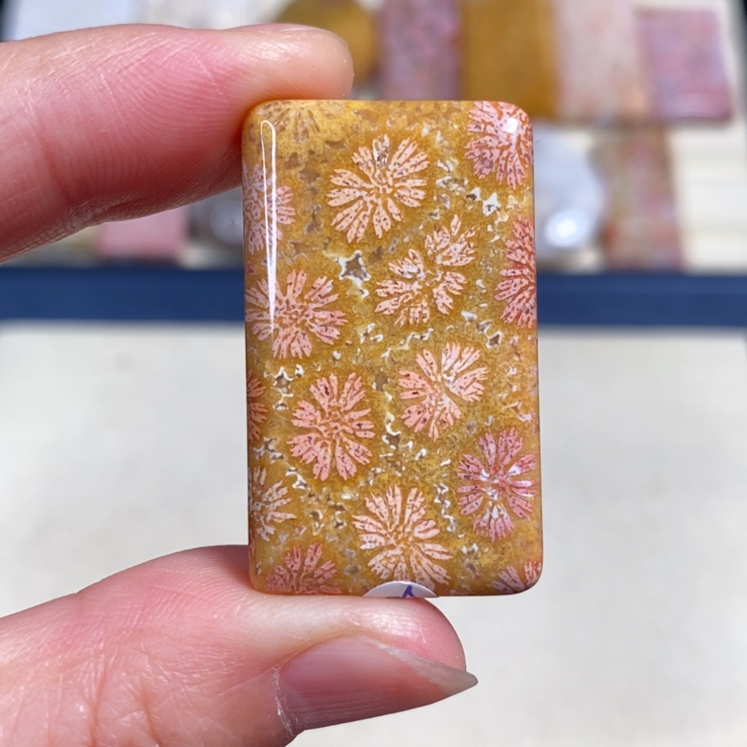 硅化玉未镶嵌吊坠