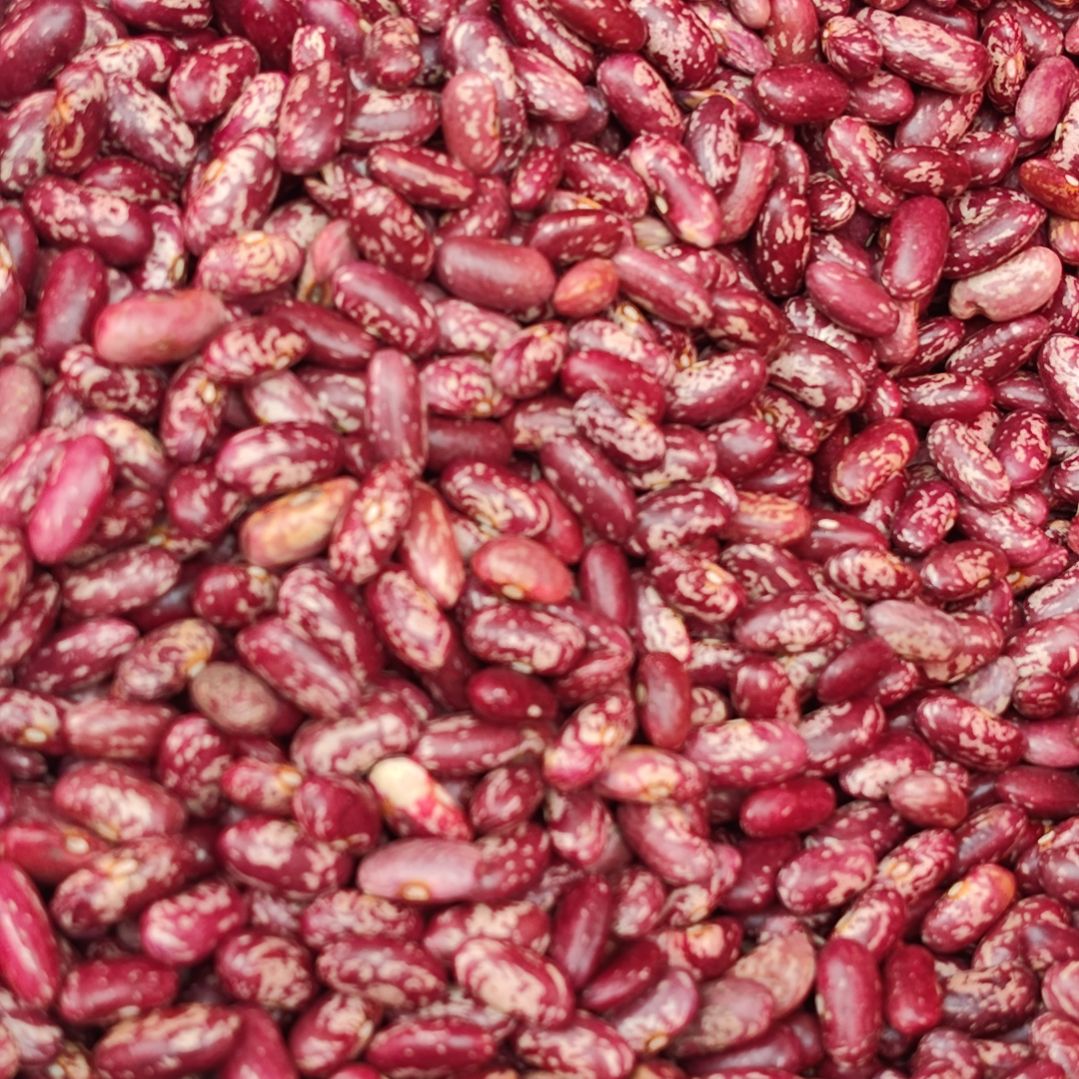 中国大陆维新花豆3斤