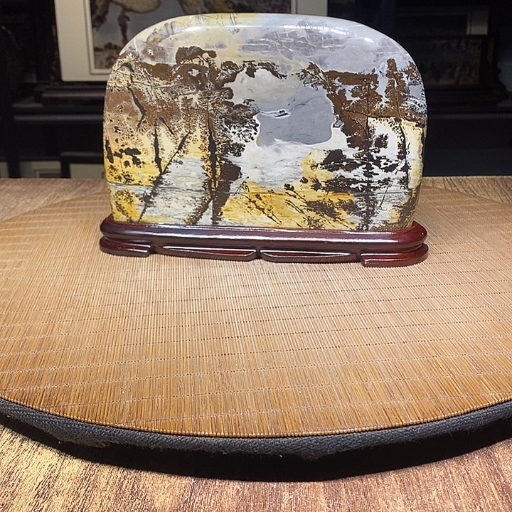有***有香榧木广西柳州国画石