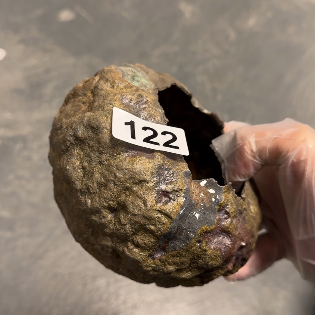 杯新年新气象，见见不一样