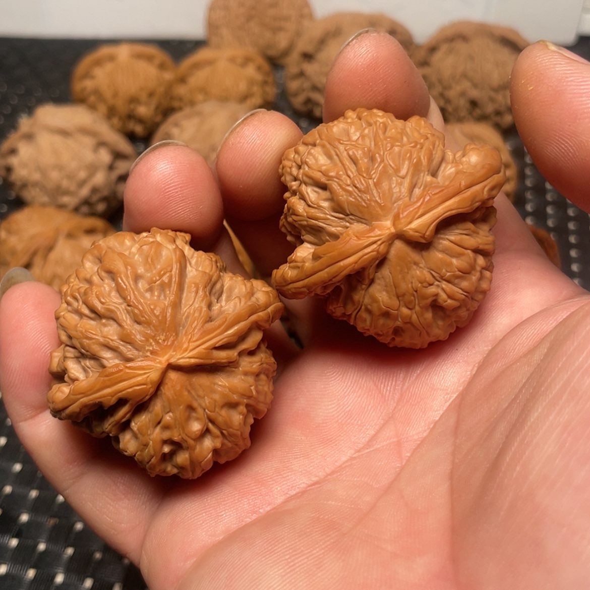 【闪购商品】文玩核桃把件43白狮子头