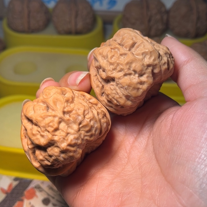 核桃蛙蛙42。。。。。。。