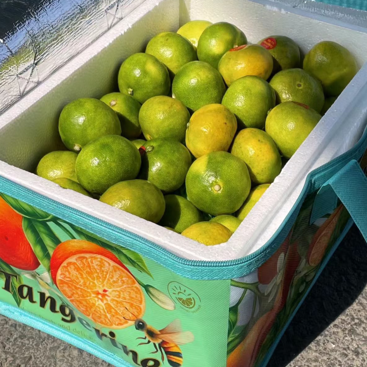 红土爆橘（箱）约7斤