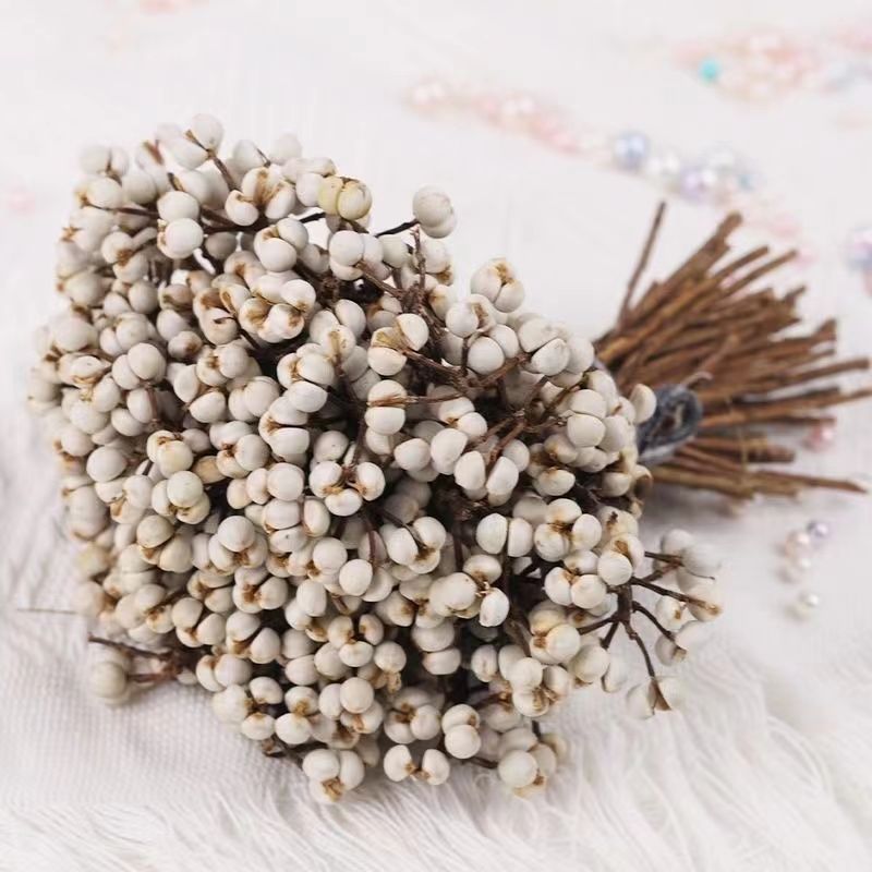 小白果干花花束插花松树装饰树枝植物圣诞树干北欧风花束干花圣诞
