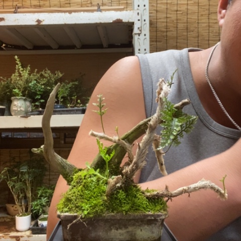 红陶豆*一物一拍所见即所得178