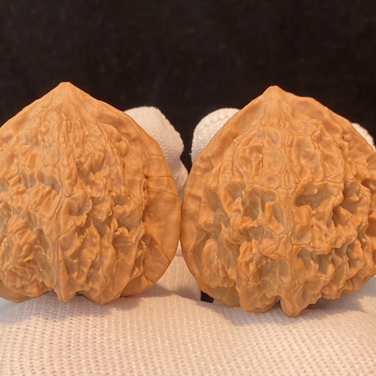 原生树梨木台尺寸40