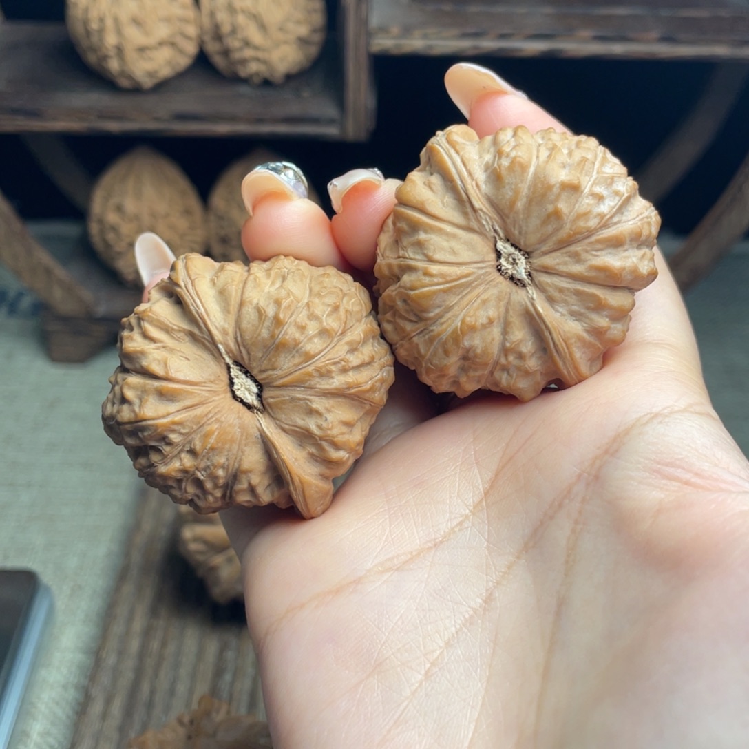 木质南瓜45 全品白茬精配毕业红皮