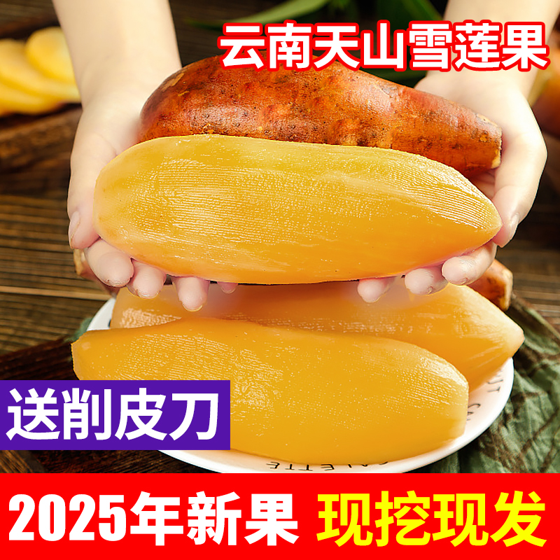 云南特产天山雪莲果新鲜应季水果红心黄心现挖脆甜大果