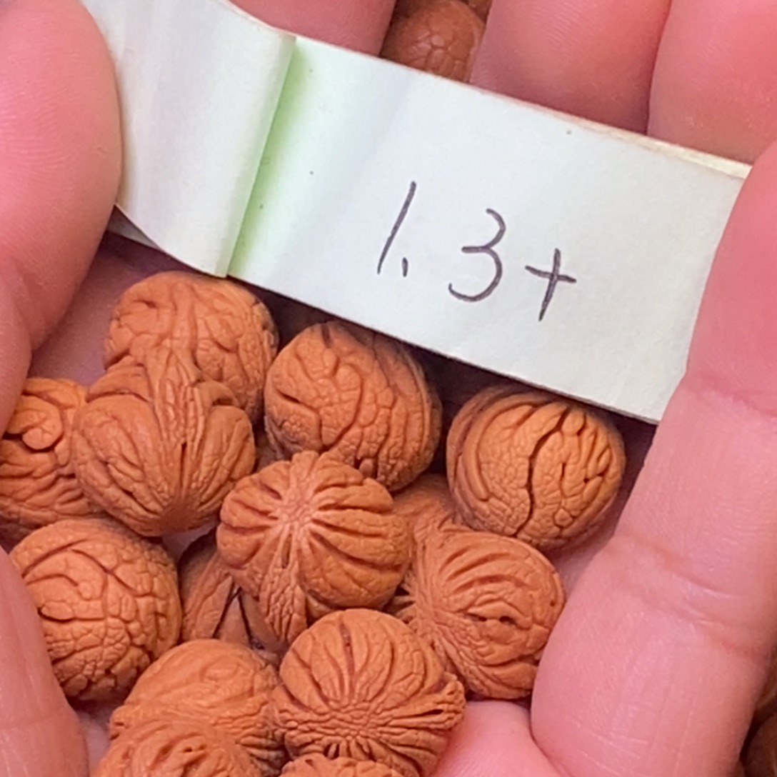 秦岭龙纹桃核18颗