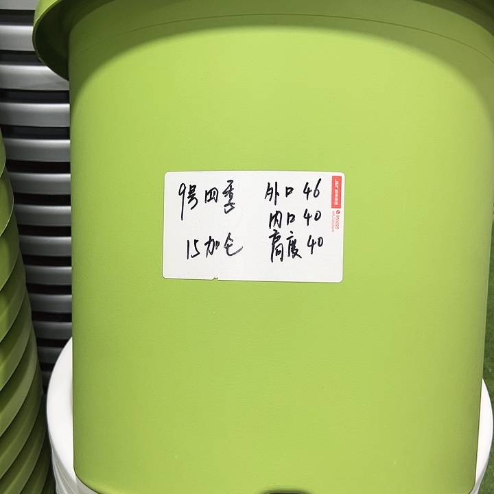 特价9号口46高40果绿色2只无托