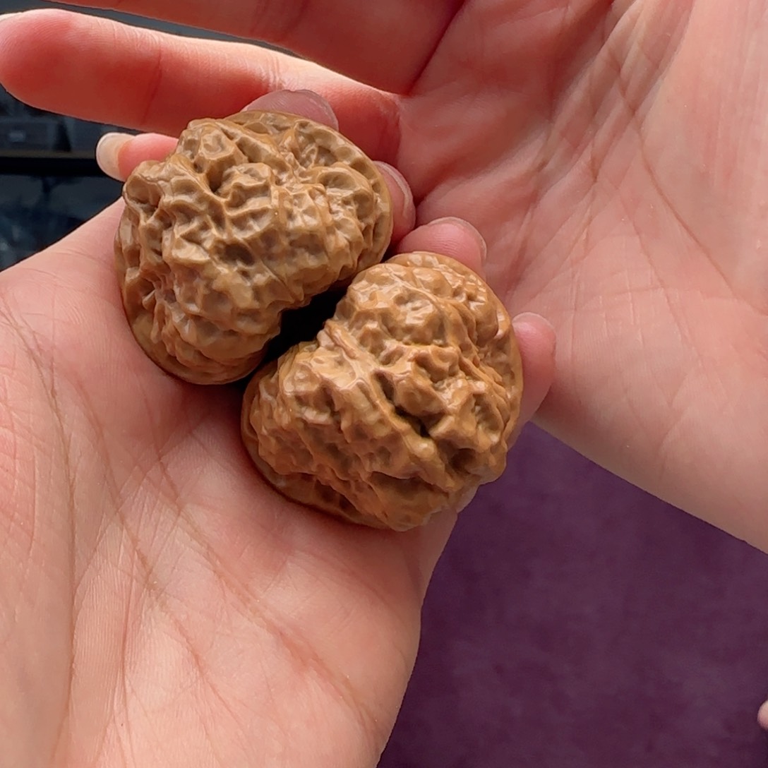 文玩核桃把件38蛤蟆头