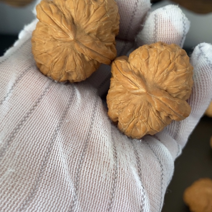 桃核吊坠37尺寸元宝