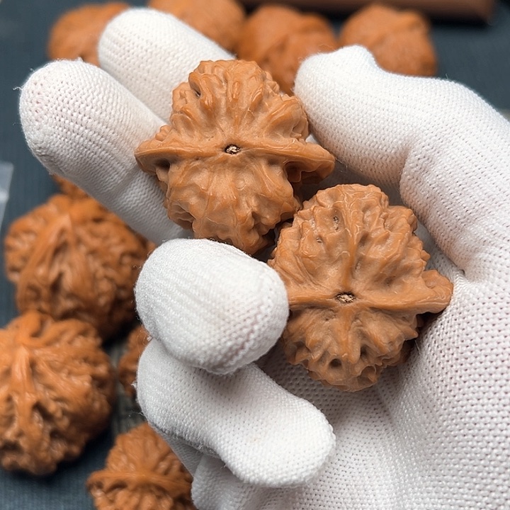 R****s野狼文玩核桃39尺寸