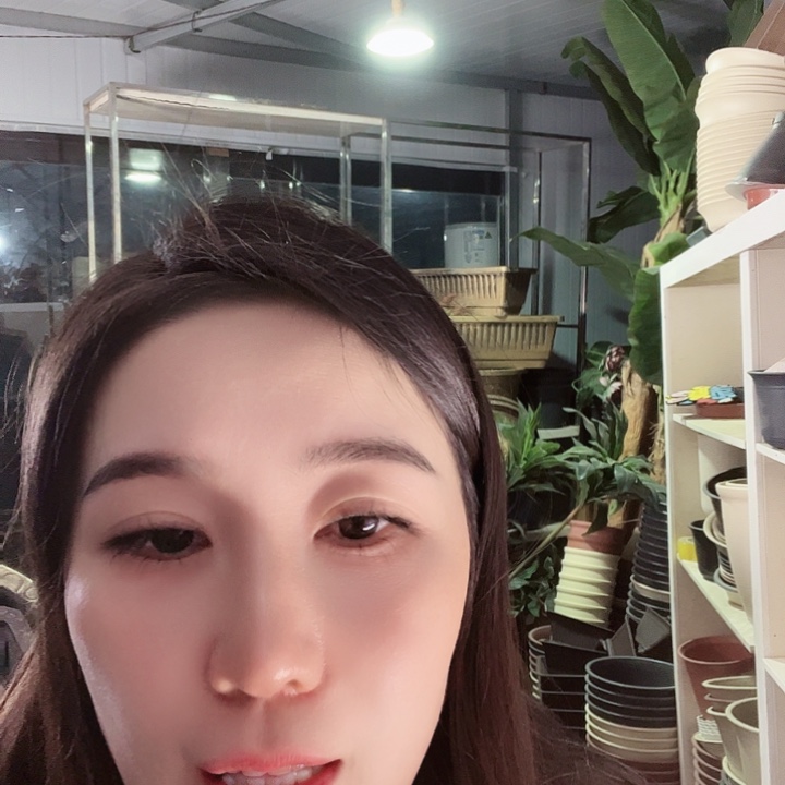 八角60口径花盆一个