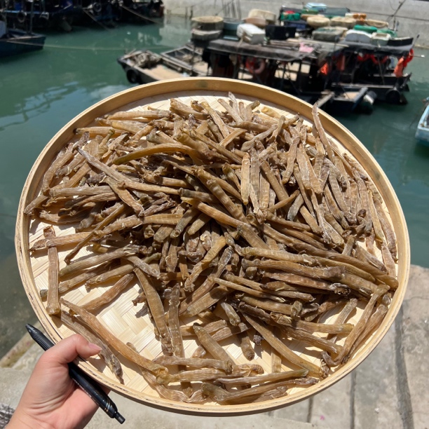 北海特产大号老沙虫干煲汤煲粥日常滋养鲜甜适合孕妇老人小孩