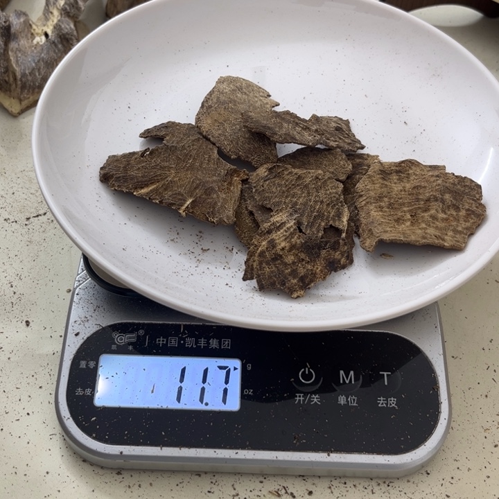 沉香摆件海南沉香铁头块料11克+