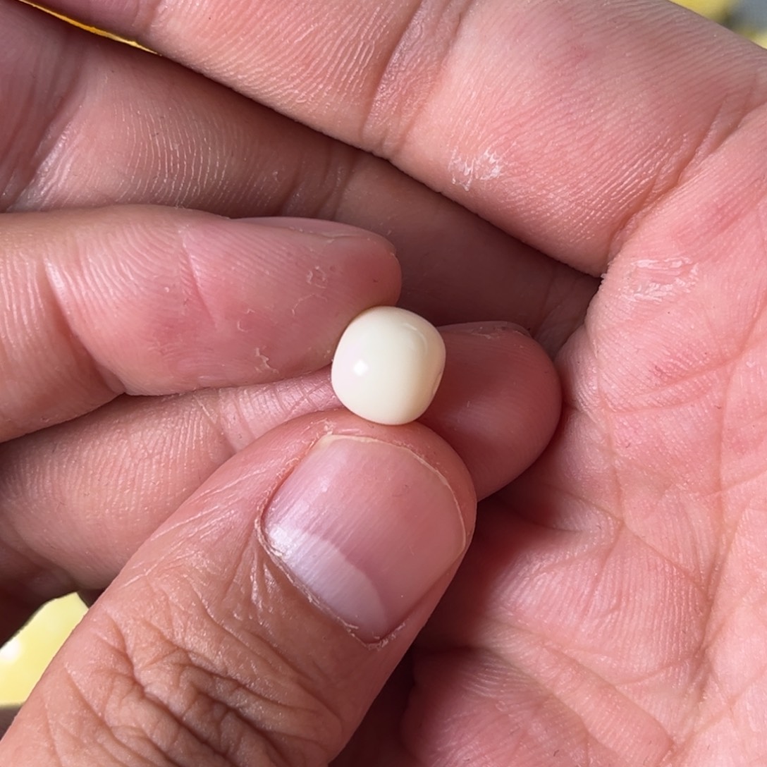 琥珀裸石未镶嵌蜜蜡白蜡老型8.8毫米