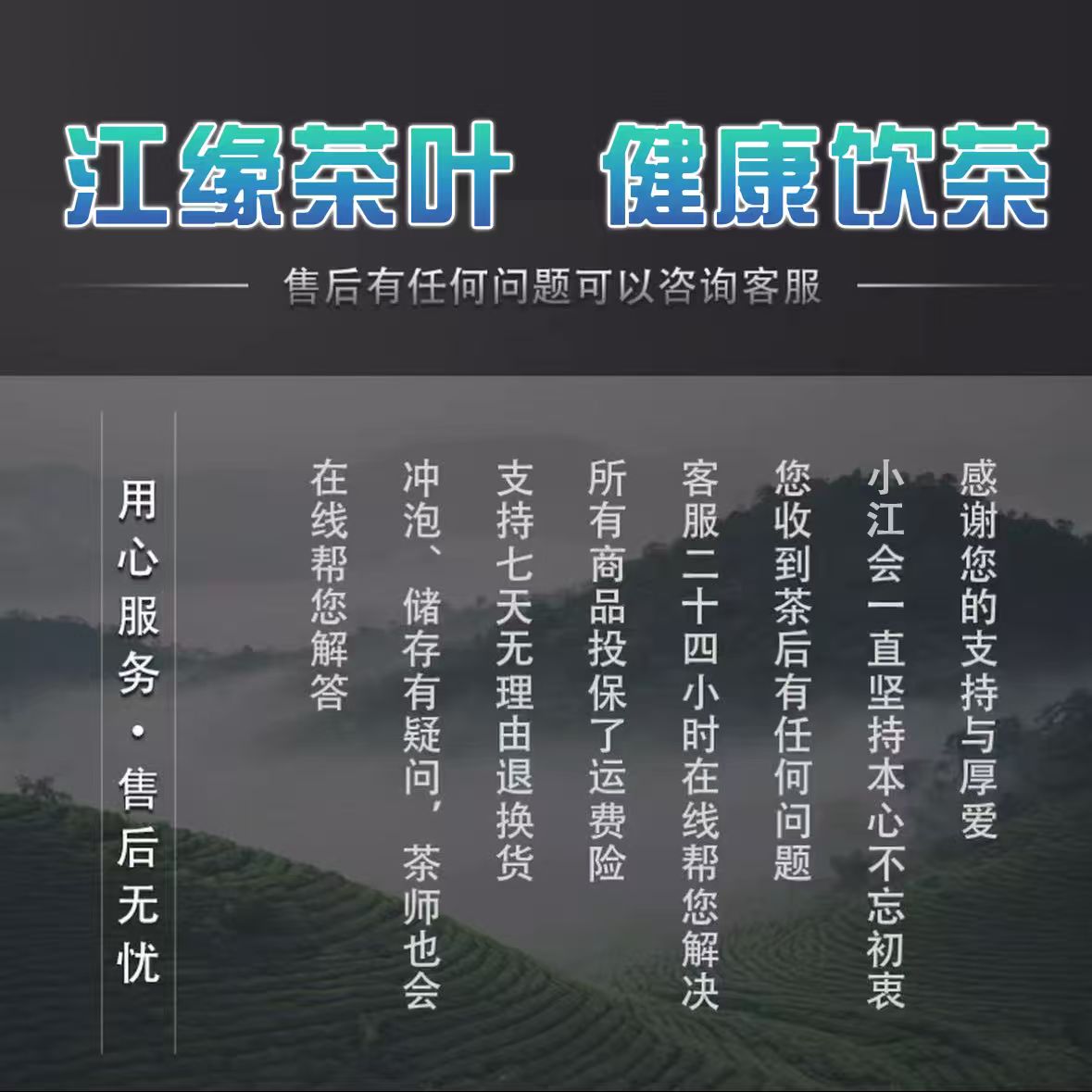 【江缘】飞雪·2022年白牡丹·荒野高山·雪后白牡丹