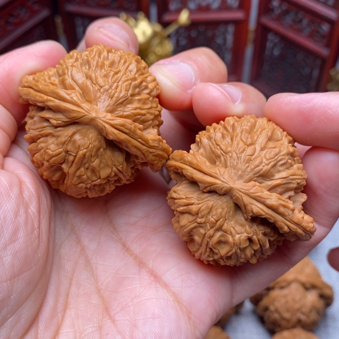 文玩核桃把件全品毕业绝配肉球白狮子42尺