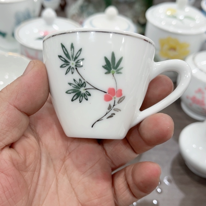 碟釉下五彩的瓷器和瓷器