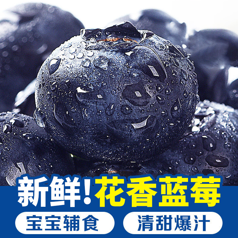 Y1云南头茬花香高山蓝莓新鲜超特大巨无霸水果脆香甜国产当季多汁