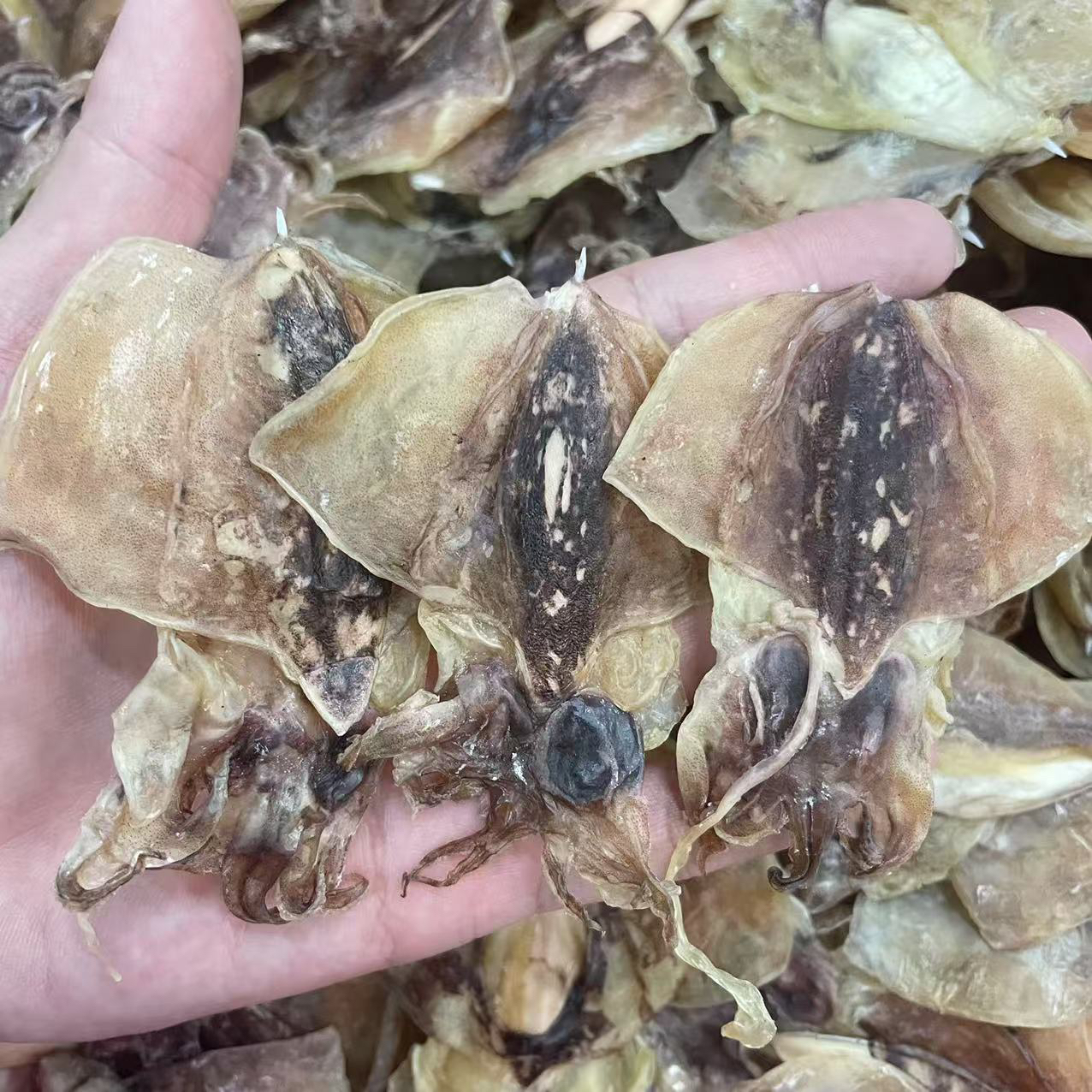 小墨鱼干淡晒海产煲汤海鲜干货